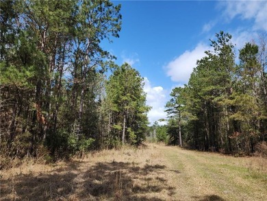This property spans 1,175 acres and features over a mile of - photo 22