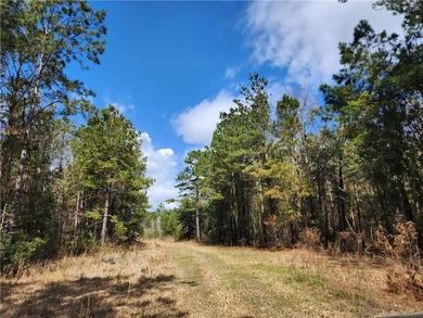 This property spans 1,175 acres and features over a mile of - photo 23
