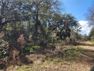 This property spans 1,175 acres and features over a mile of - photo 24