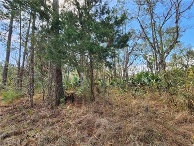 This property spans 1,175 acres and features over a mile of - photo 25