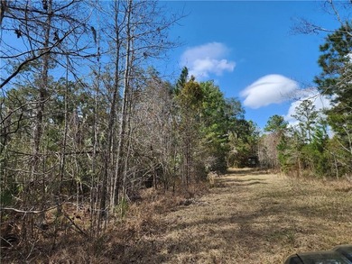 This property spans 1,175 acres and features over a mile of - photo 26