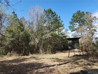 This property spans 1,175 acres and features over a mile of - photo 27