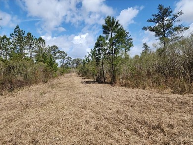 This property spans 1,175 acres and features over a mile of - photo 28