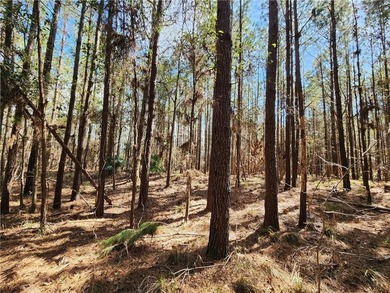 This property spans 1,175 acres and features over a mile of - photo 30