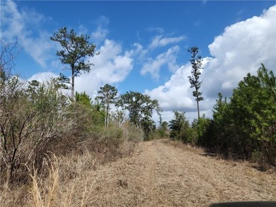 This property spans 1,175 acres and features over a mile of - photo 31