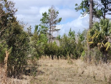 This property spans 1,175 acres and features over a mile of - photo 32
