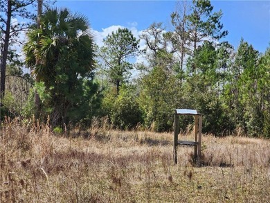 This property spans 1,175 acres and features over a mile of - photo 33