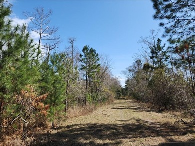 This property spans 1,175 acres and features over a mile of - photo 34