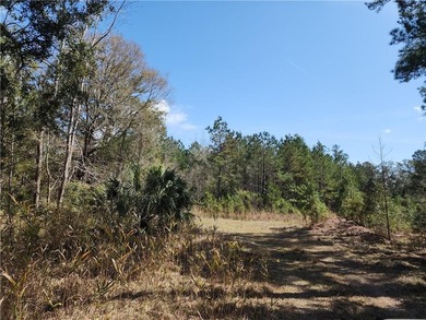 This property spans 1,175 acres and features over a mile of - photo 35