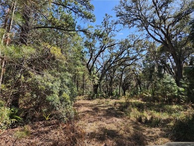 This property spans 1,175 acres and features over a mile of - photo 36