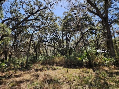 This property spans 1,175 acres and features over a mile of - photo 37