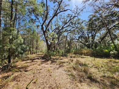 This property spans 1,175 acres and features over a mile of - photo 38