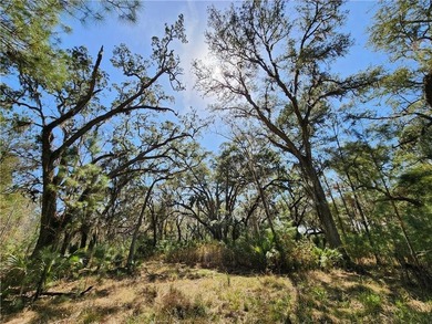 This property spans 1,175 acres and features over a mile of - photo 39