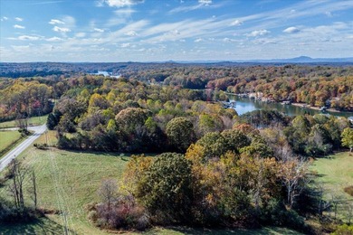 This stunning property is perfect for a family compound or - photo 9