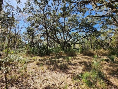 This property spans 1,175 acres and features over a mile of - photo 40