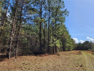 This property spans 1,175 acres and features over a mile of - photo 41
