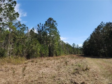 This property spans 1,175 acres and features over a mile of - photo 42