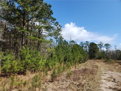 This property spans 1,175 acres and features over a mile of - photo 43