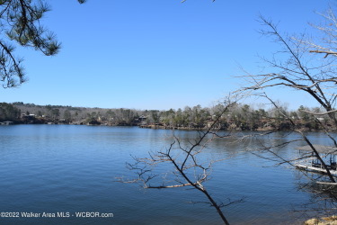 Lake Lot Off Market in Crane Hill, Alabama