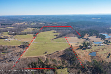 Smith Lake Area-106+/- acres of beautiful pasture and timber - Lake Acreage For Sale in Cullman, Alabama