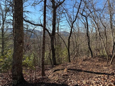 Hiwassee River - Clay County Acreage For Sale in Hayesville North Carolina