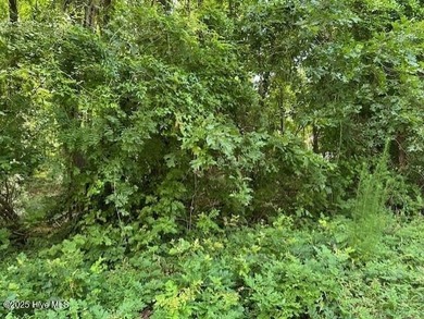 Perquimans River Lot For Sale in Hertford North Carolina