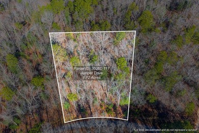 Coosawattee River - Gilmer County Lot For Sale in Ellijay Georgia