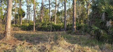 Prime Vacant Lot in Growing Port Charlotte Community 13262 - photo 3
