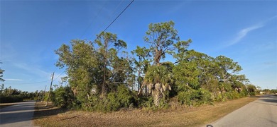Prime Vacant Lot in Growing Port Charlotte Community 13262 - photo 4