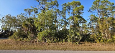 Prime Vacant Lot in Growing Port Charlotte Community 13262 - photo 5