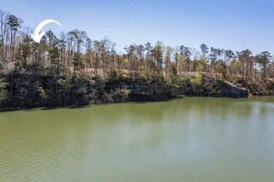 Welcome to the West Side. Slick Ford is one of the newest - Lake Lot For Sale in Houston, Alabama