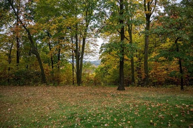 Eight picturesque acres in the beautiful township of Summit - photo 3