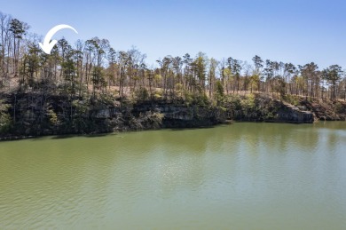 Lake Lot For Sale in Houston, Alabama