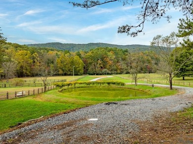 (private lake, pond, coastal) Lot For Sale in Ellijay Georgia