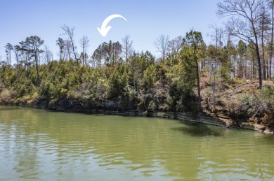 Lake Lot For Sale in Houston, Alabama