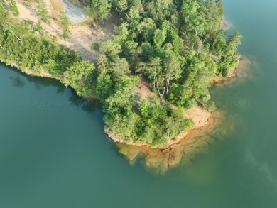 Lake Lot For Sale in Houston, Alabama