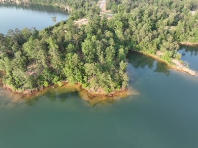 Welcome to the West Side. Slick Ford is one of the newest - Lake Lot For Sale in Houston, Alabama