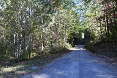 (private lake, pond, coastal) Acreage For Sale in Ellijay Georgia
