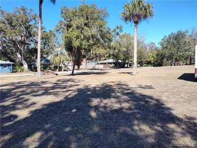 Charming home in Inglis, Fl. Discover this cozy 3-bedroom - photo 18