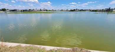 A W E S O M E OPPORTUNITY!!! THE ULTIMATE VIEW! Rare LAKE FRONT - photo 8