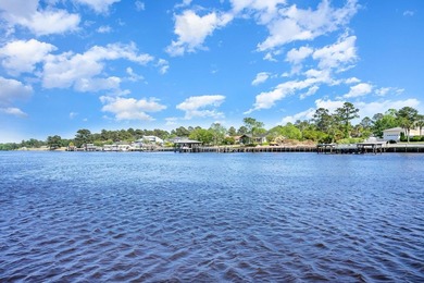 This stunning custom built 6 bed 4.5 bath home in the sought - photo 54