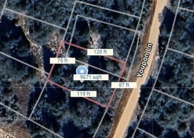 Lake Tonkawa Lot For Sale in Normangee Texas