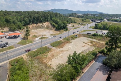 Lake Hamilton Commercial For Sale in Hot Springs Arkansas