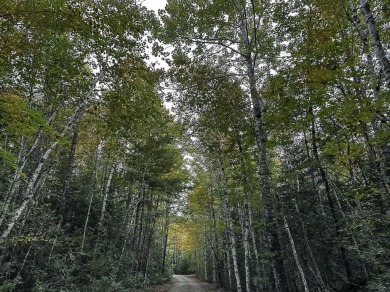 Lake Acreage For Sale in Northfield, Maine