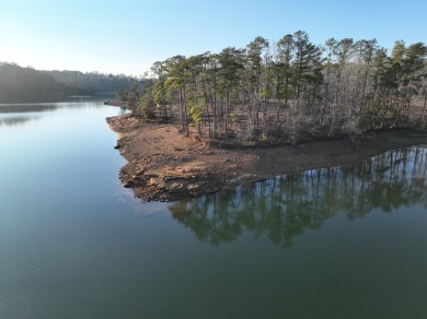 Lake Lot For Sale in Houston, Alabama