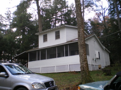 Cozy Lakeview Cottage On 1/2 Acre - photo 1