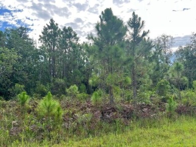 Lake Lot For Sale in Lake Placid, Florida