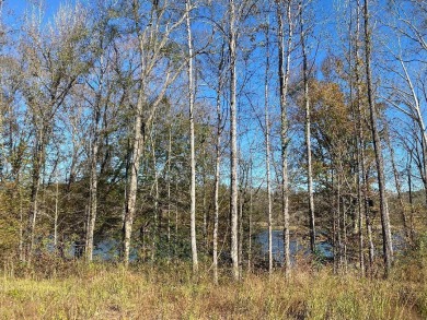 Warrior River Lot For Sale in Parrish Alabama