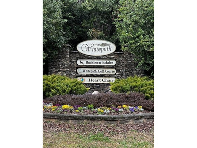 (private lake, pond, coastal) Lot For Sale in Ellijay Georgia