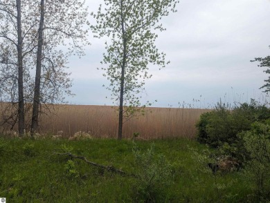 Lake Huron - Arenac County Lot For Sale in Au Gres Michigan